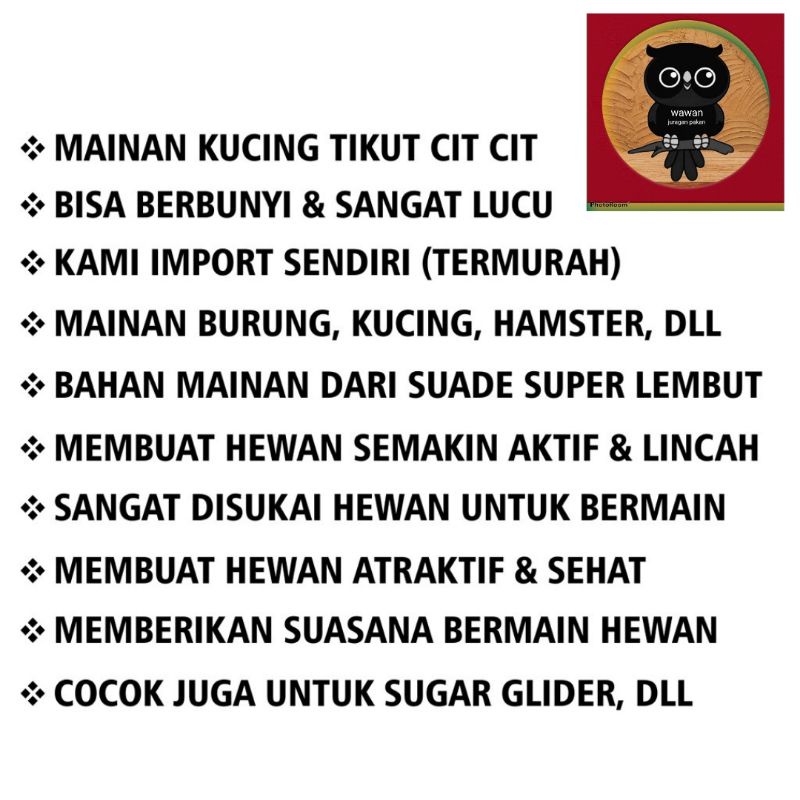 MAINAN KUCING TIKUS CIT CIT, BUNYI CIT CIT