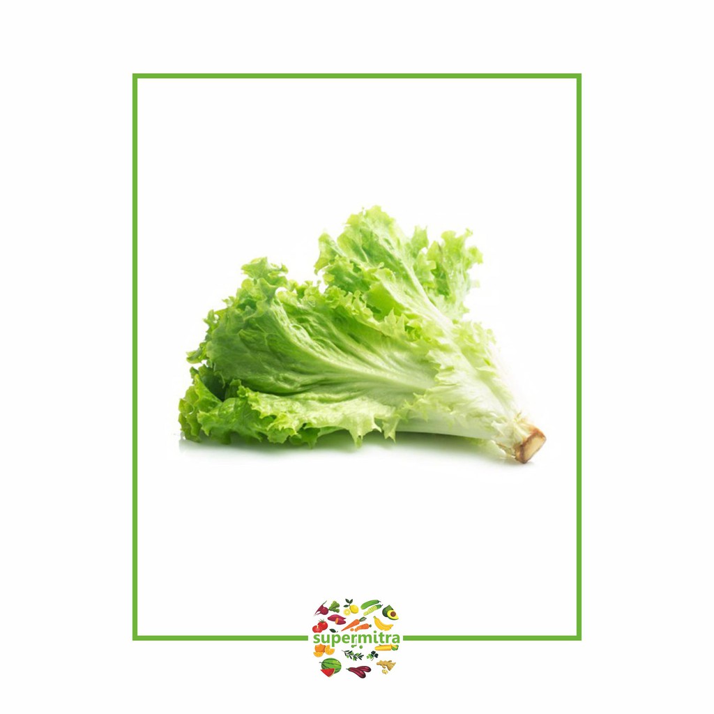 

Sayur selada keriting 250gr