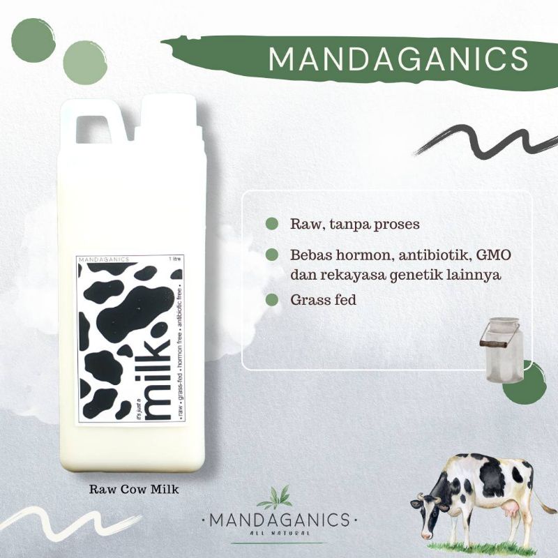 

GRASS FED RAW MILK - SUSU SAPI MURNI GRASSFED by MANDAGANICS