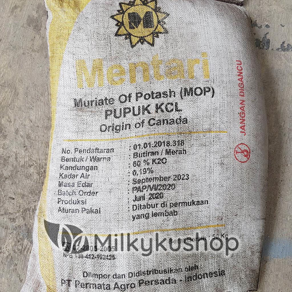 PUPUK MENTARI MOP KCL 50 KG KEMASAN PABRIK VIA CARGO