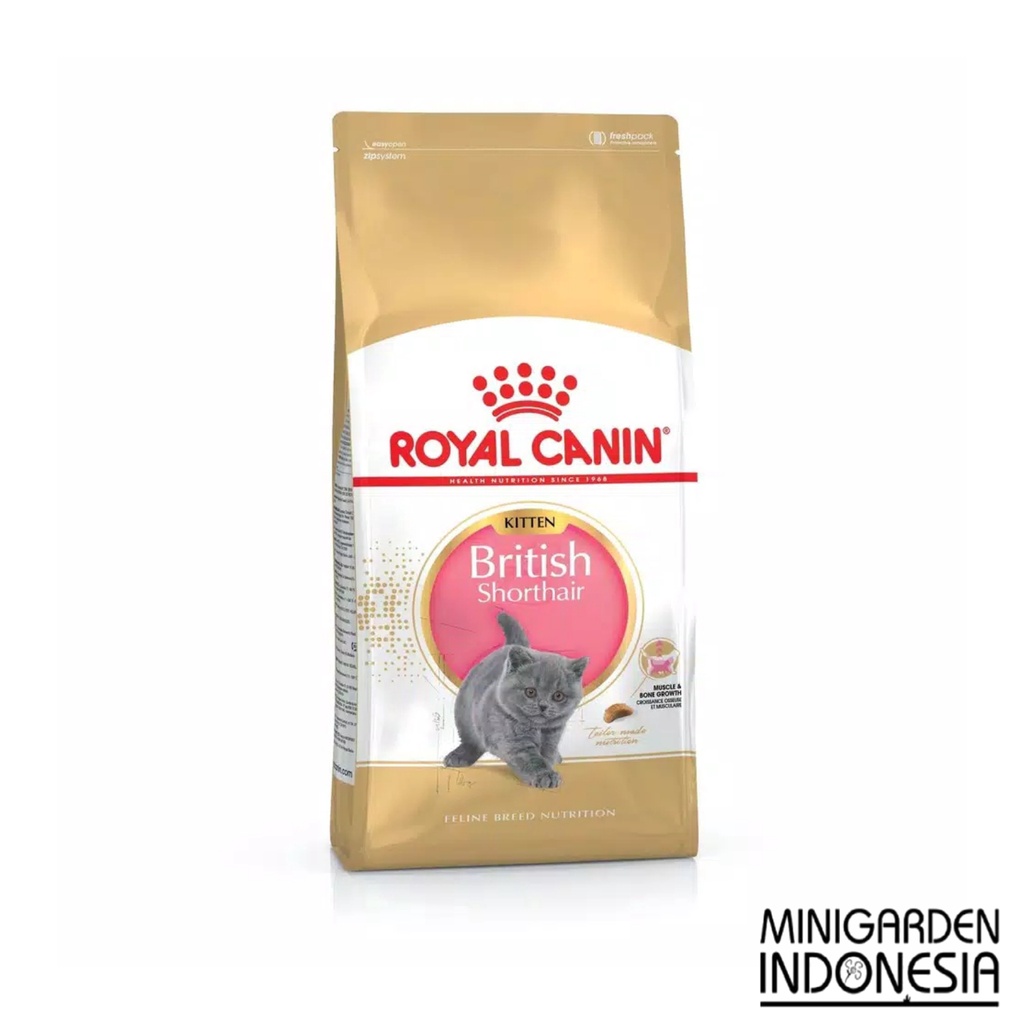 ROYAL CANIN KITTEN BRITISH SHORTHAIR 400 GRAM DRYFOOD makanan kucing catfood 400GR