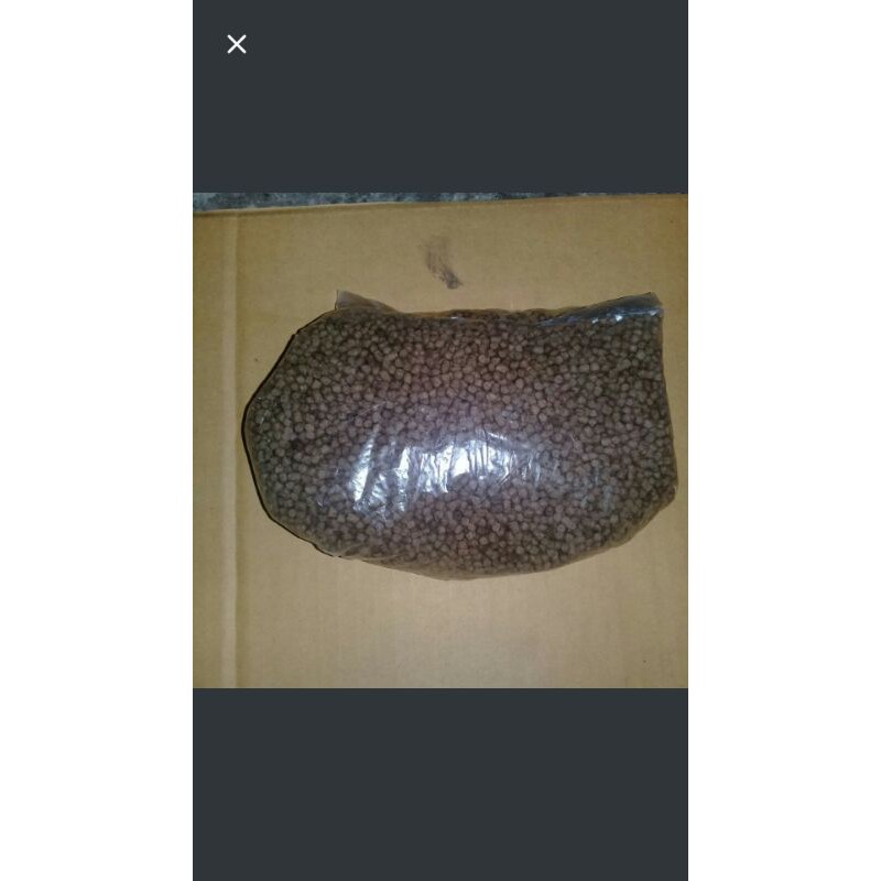 pelet umpan ikan lele