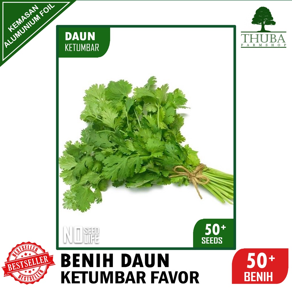 50 Biji - Benih Daun Ketumbar FAVOR - Bibit Daun Ketumbar Berkualitas