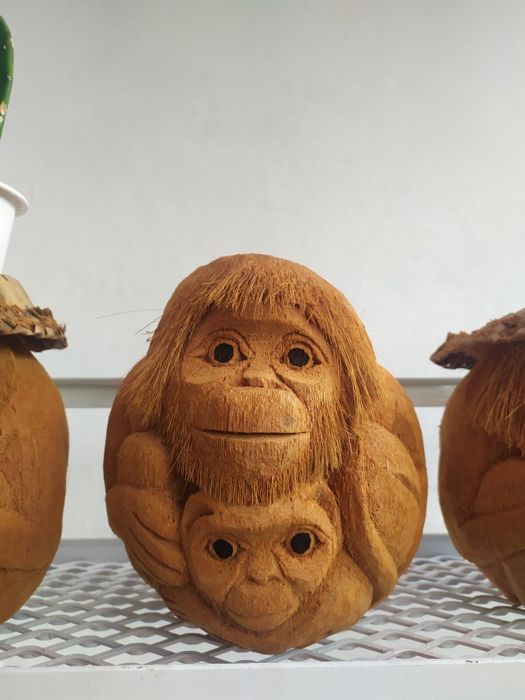 Pot Bunga Pot Pot Plastik Pot Lukis Pot Unik Pot Kaktus Pot Bunga Pot Pot Plastik Pot Lukis Pot Unik Pot Kaktus