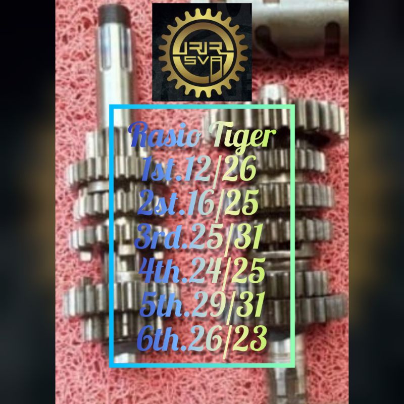 Gigi Rasio Racing Honda Tiger Racing 500m 1st.12/26; 2st.16/25; 3rd.25/31; 4th.24/25; 5th.29/31; 6th