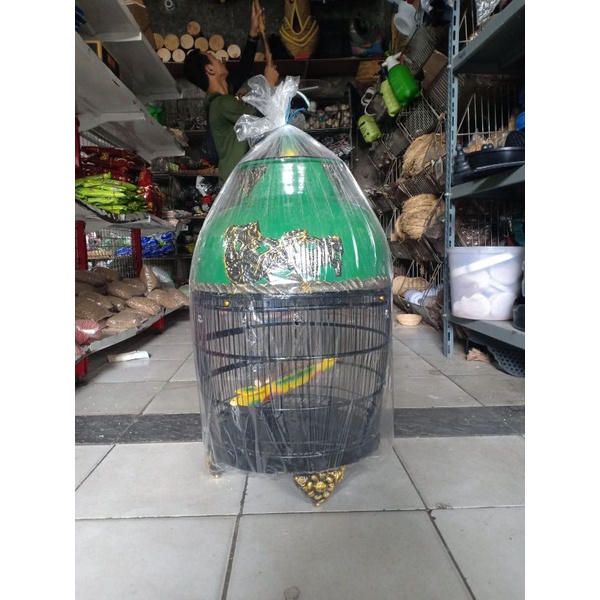 KANDANG PERKUTUT FIBER KERETA SANGKAR PERKUTUT MOTIF KERETA