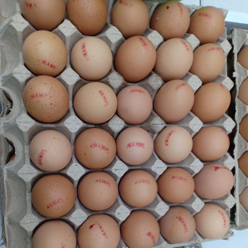 

Omega3-FreshEgg