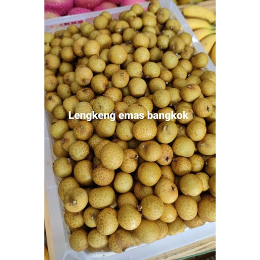 

LENGKENG Thailand LENGKENG EMAS Bangkok tanpa ranting