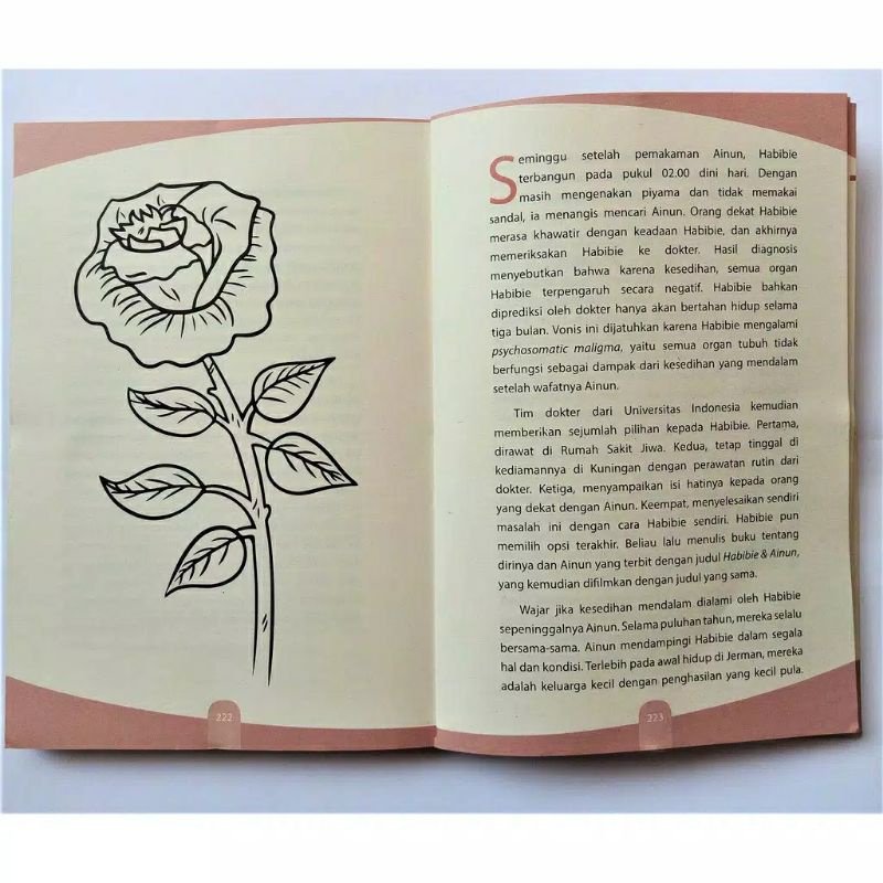 [ORIGINAL] BUKU KISAH, PERJUANGAN DAN INSPIRASI HABIBIE-3