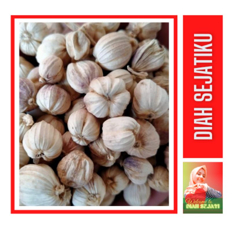 

Kapulaga Hibrida Kering 100gram