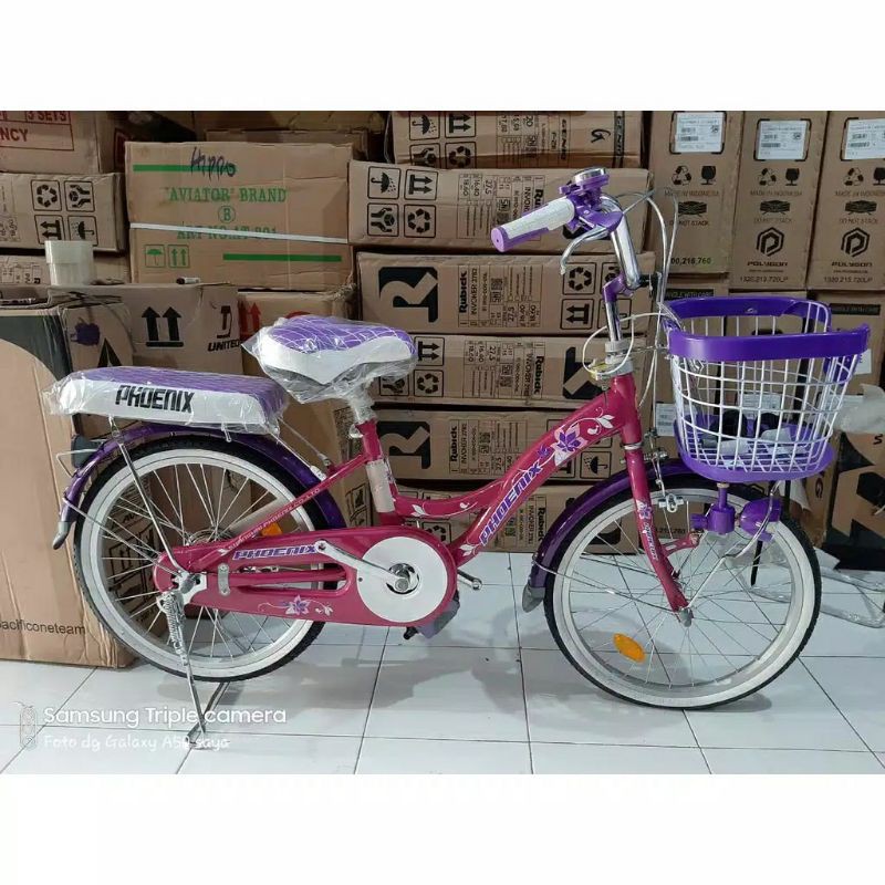 SEPEDA KERANJANG CTB 20inch PHOENIX 99