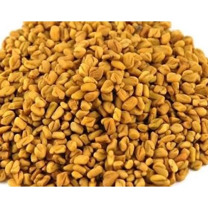 

Fenugreek Seed / Biji Kalabat - 50 Gram