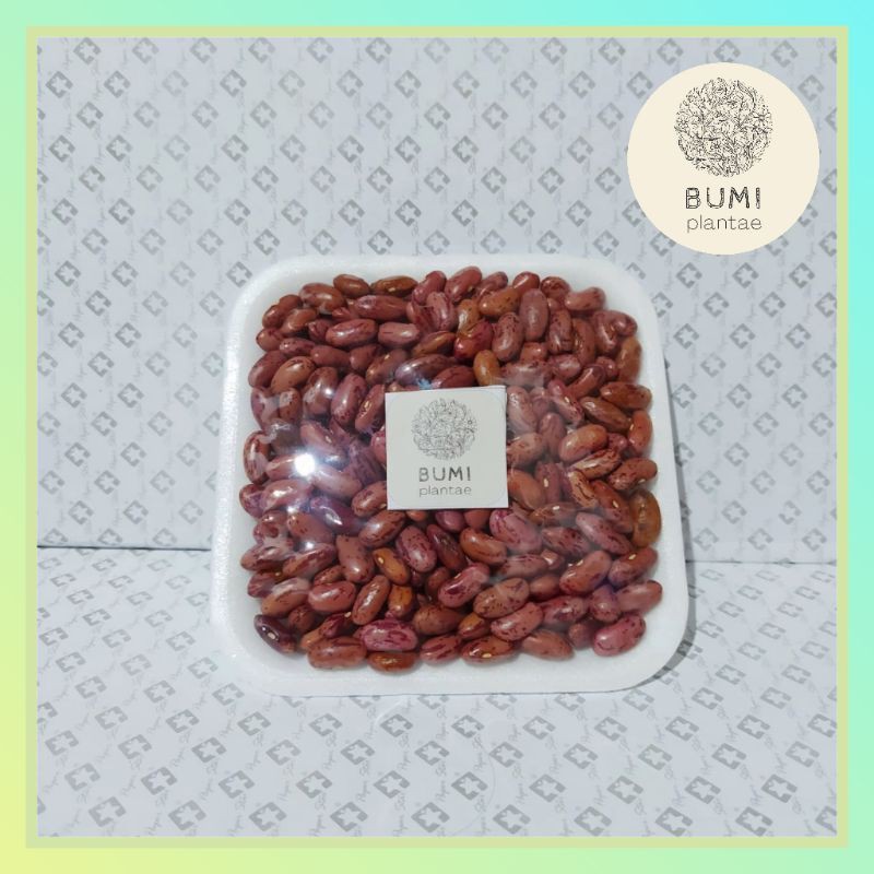 

Kacang Merah Jogo 150 gram - Sayur Segar