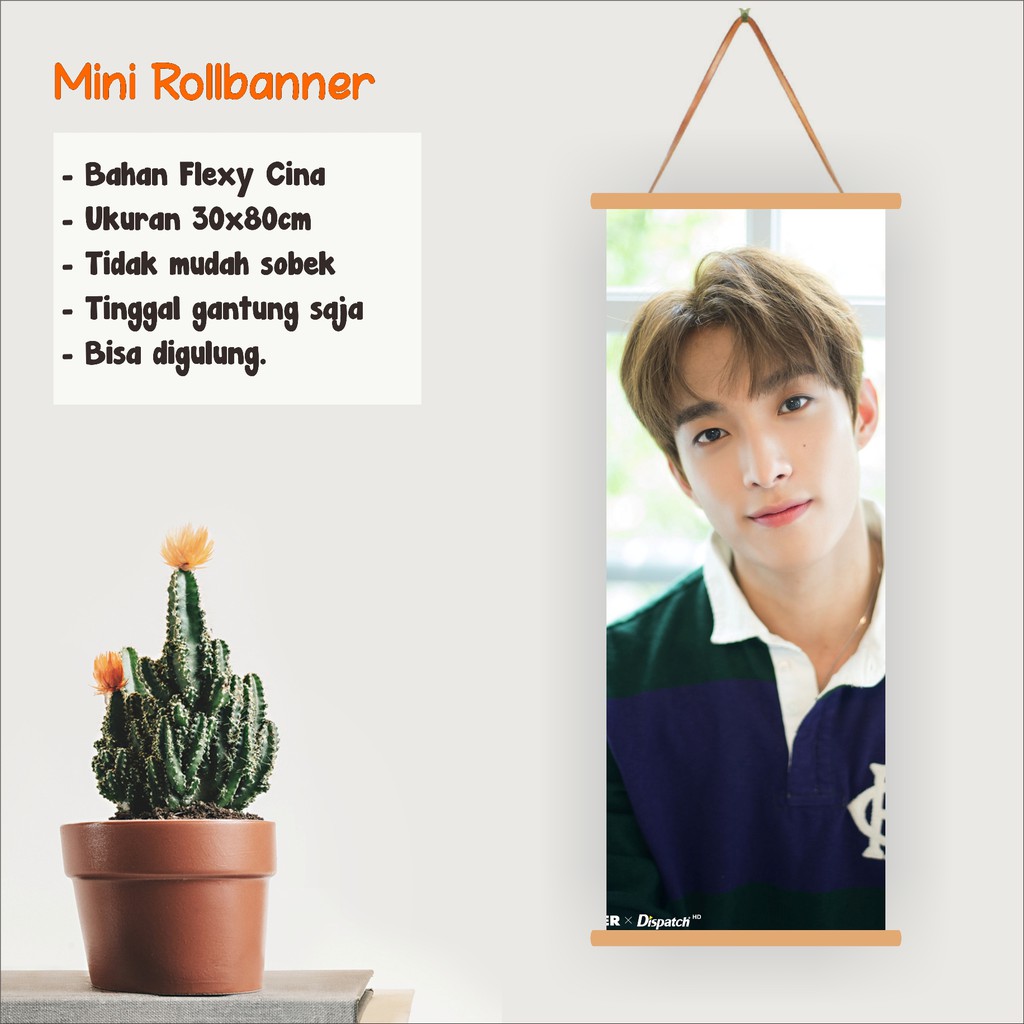 Mini Roll Banner DK seventeen