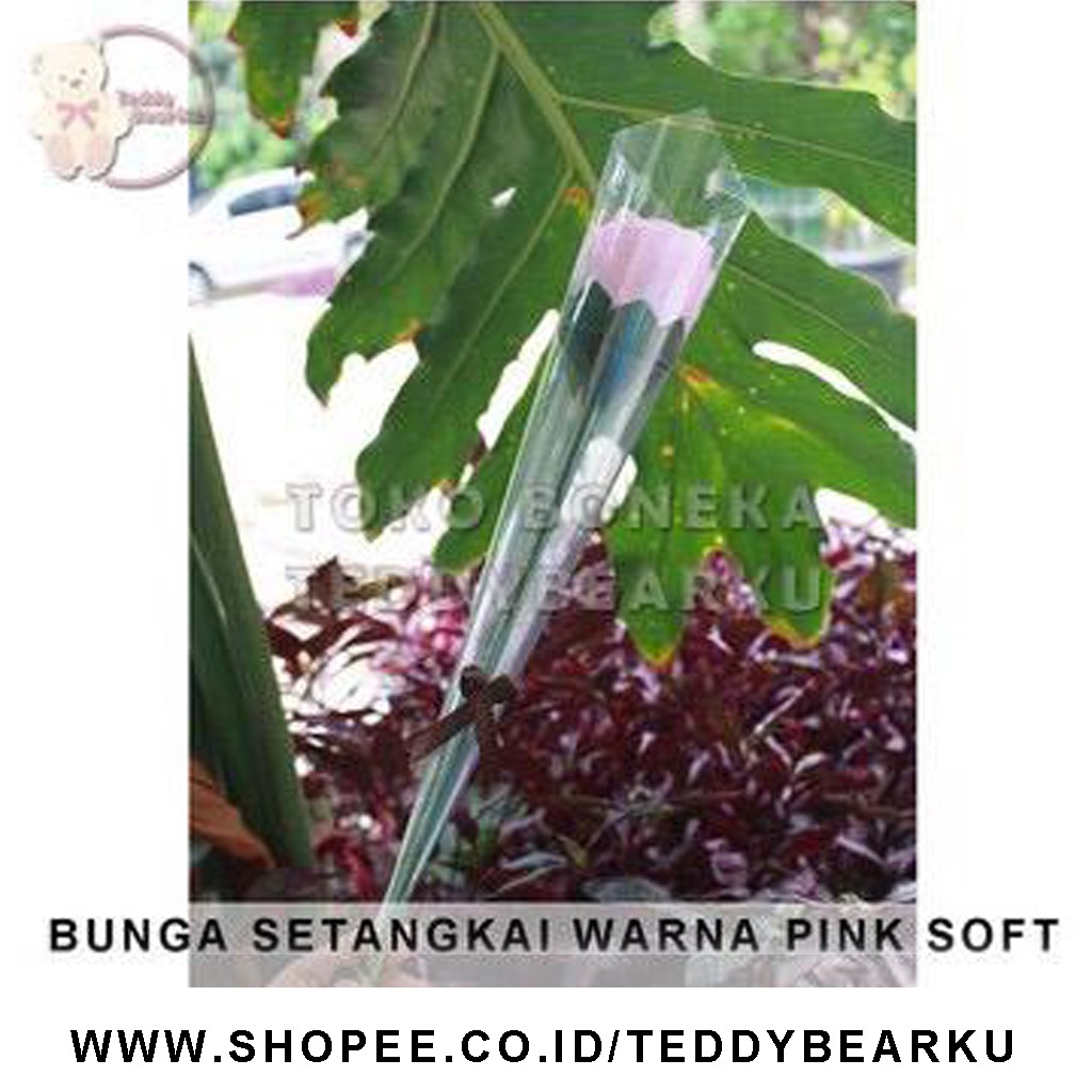 BUNGA SETANGKAI PINK SOFT