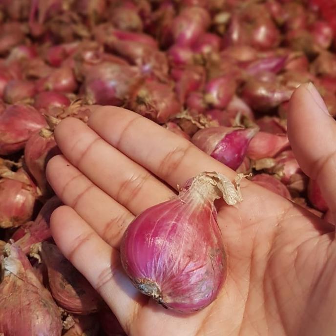 

bawang merah ukuran besar 1 kg