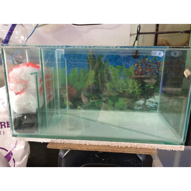  Aquarium  filter  samping  50x25x25cm dan Full set media 