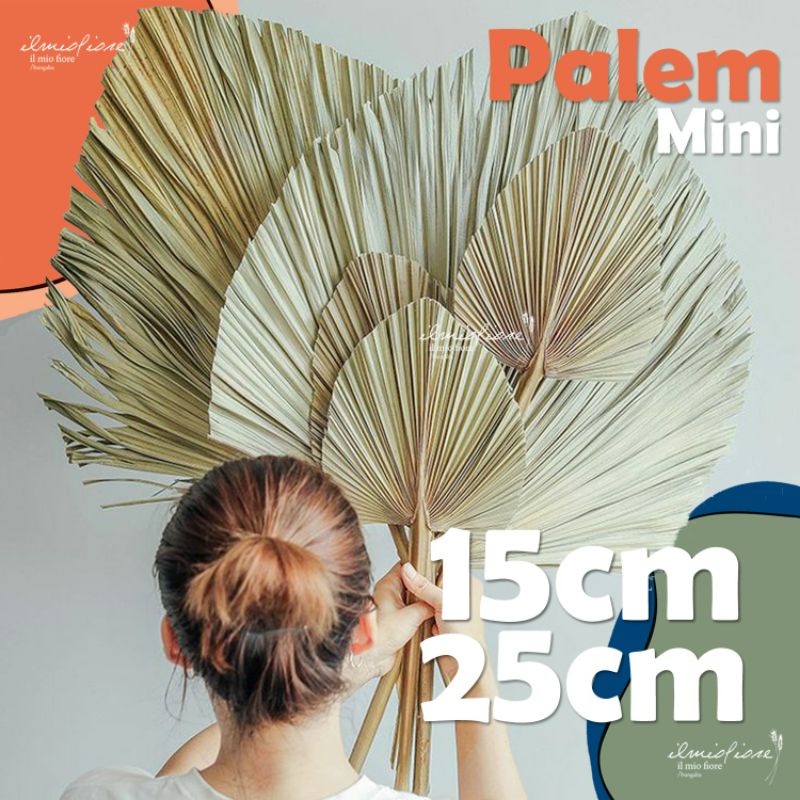 Daun Palem Mini | Bunga Dekor | Bunga Kering
