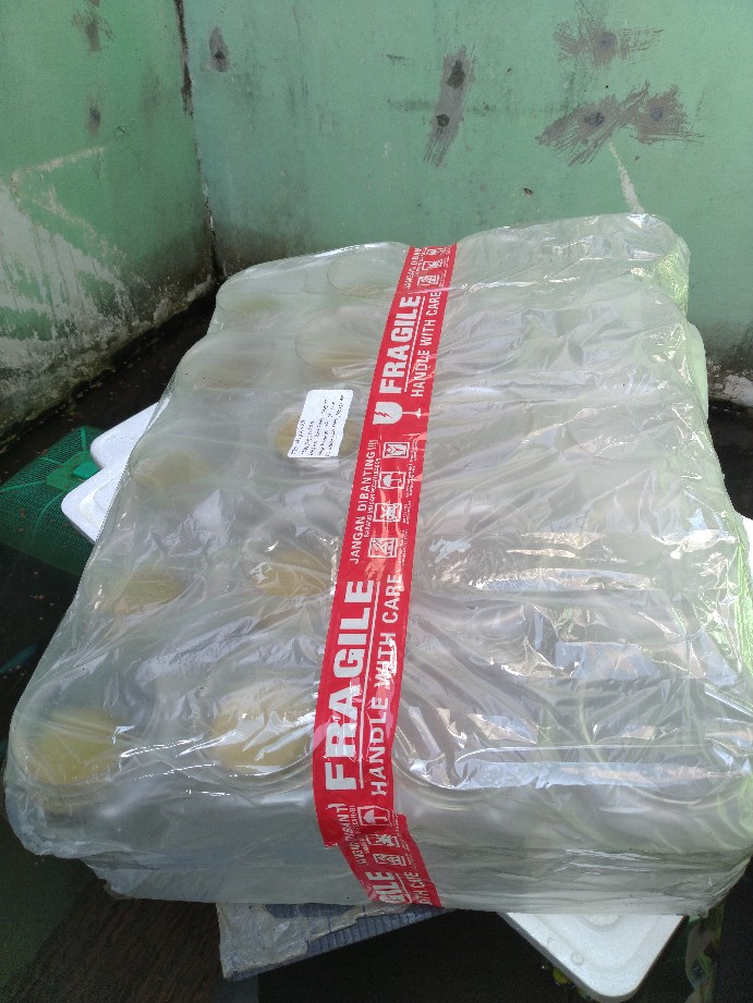 Termurah Toples Kotak Tinggi 2 Liter / Toples Cupang Khusus Gojek/grab