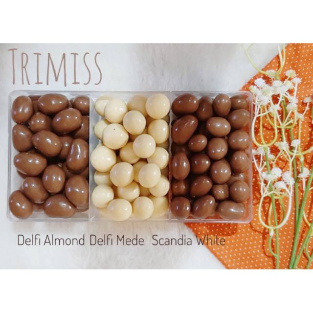 

Coklat Delfi Scandia White