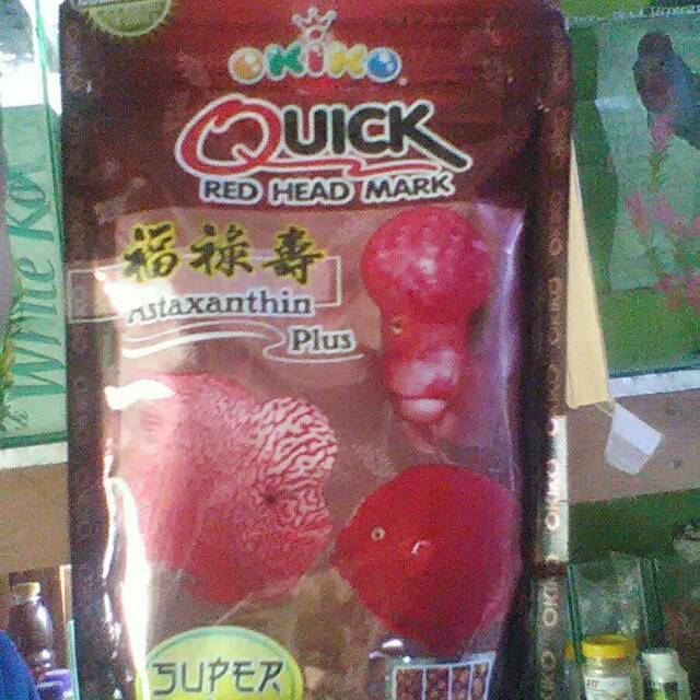 

Pakan ikan louhan super kualitas