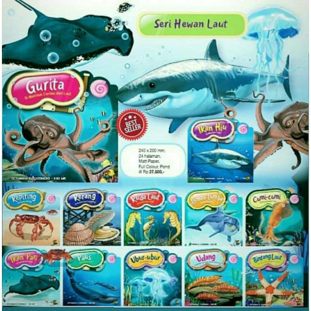 580 Gambar Jenis Hewan Laut Gratis