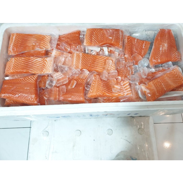 

Ikan Salmon Trout Berat 230-250Gram