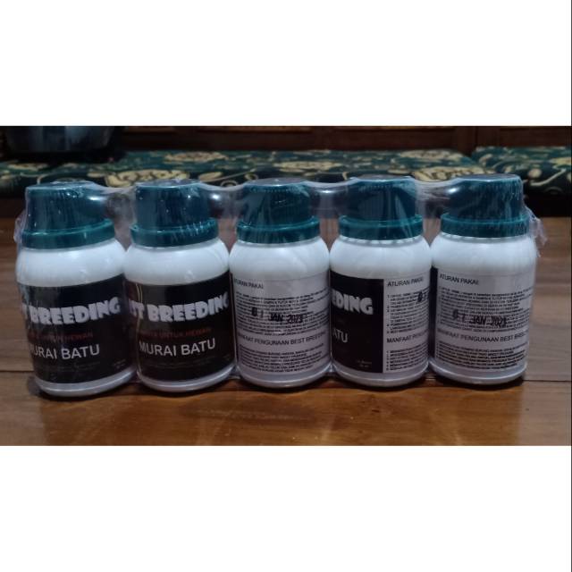 Best breeding khusus Murai Batu 80ml
