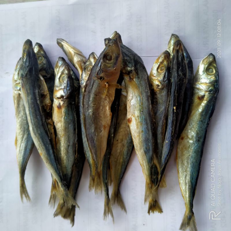 

iwak gere layang 100g ukuran sedang