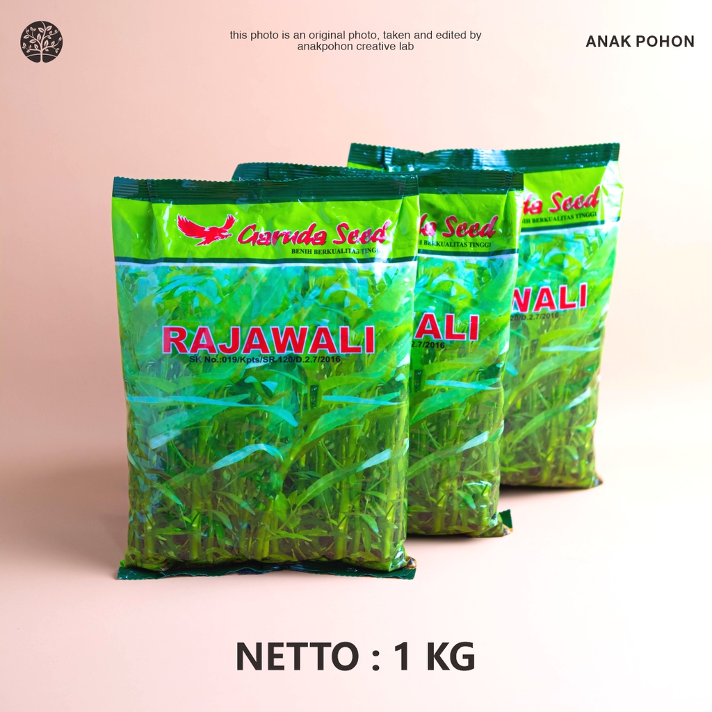( 1 KG ) Benih Bibit Biji - Kangkung RAJAWALI - Tipe Daun Sedang - GARUDA SEED - 100% ORIGINAL