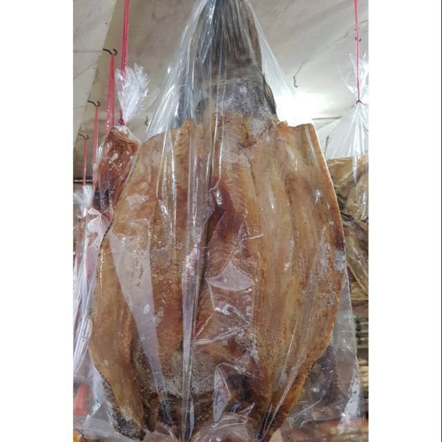 

Ikan Gabus / Ikan Toman Asin / Loi Pou