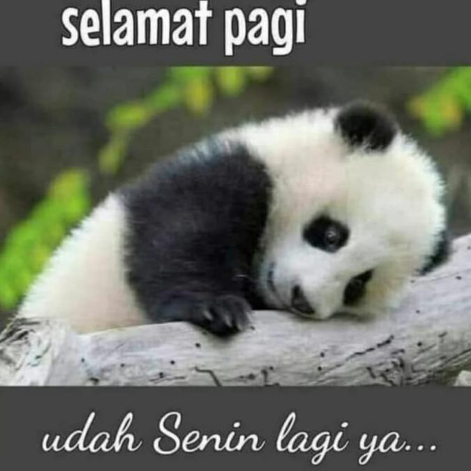 

Office & Stationery | Alat Tulis | Paket Atk Ahmad | Best Seller