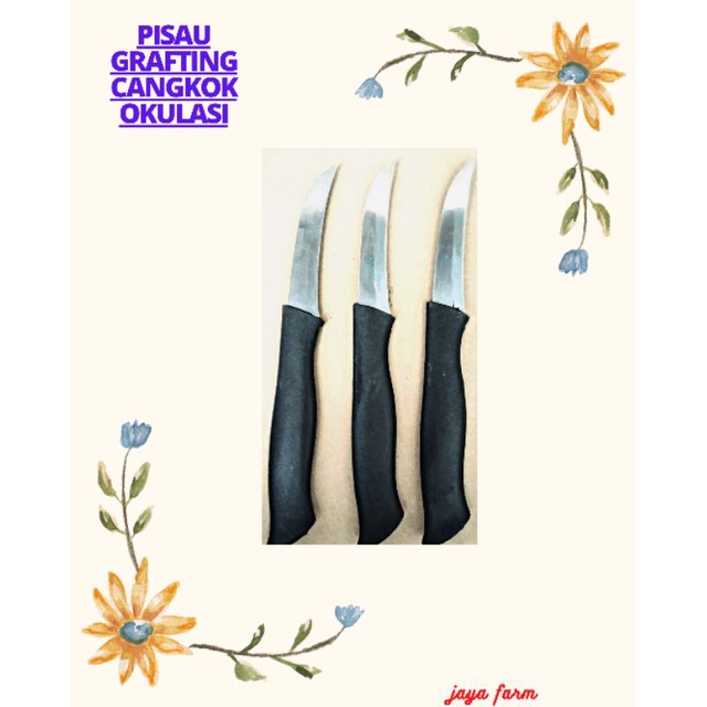 PISAU GRAFTING CANGKOK TANAMAN