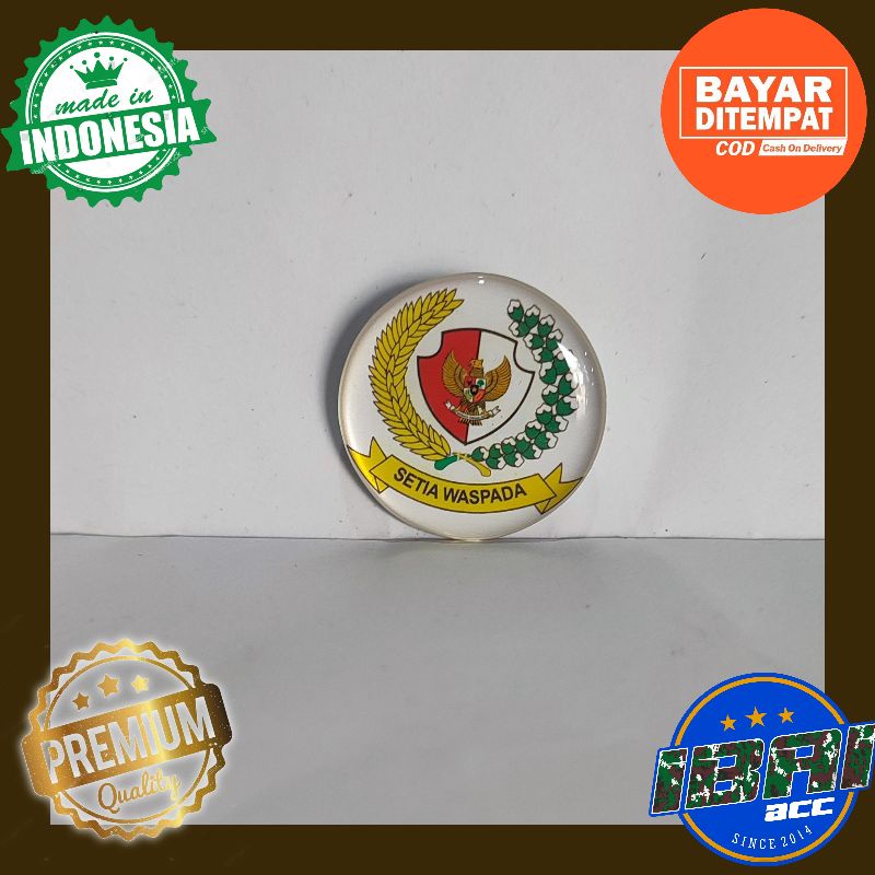 Pin Paspampres