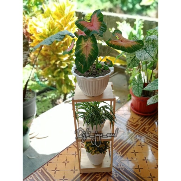 STANDING POT / RAK BUNGA WOODEN / RAK BUNGA KAYU / RAK BUNGA SUSUN / SUSUN 3