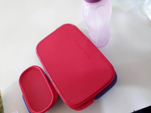 Eco Bottle Ulir 310ml - Hk 50k