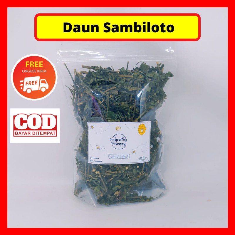 

Daun Sambiloto(sambiroto) Kering