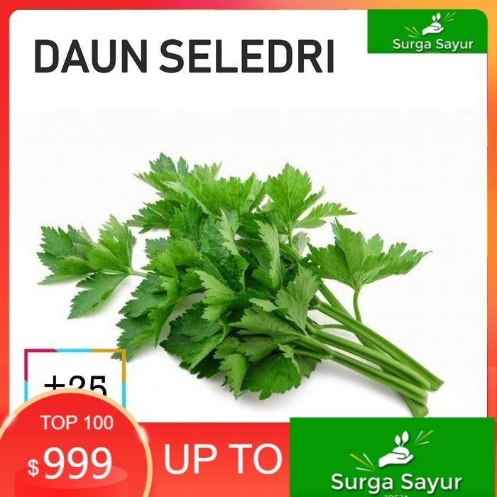 

SURGA SAYUR DAUN SELEDRI SAYUR [25g] SEJABODETABEK BISA INSTANT MENGGUNAKAN GOSEND &GRAB.