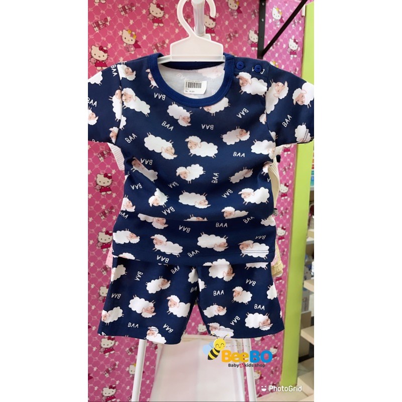 SETELAN BAYI LAKI-LAKI LITTLE OWL