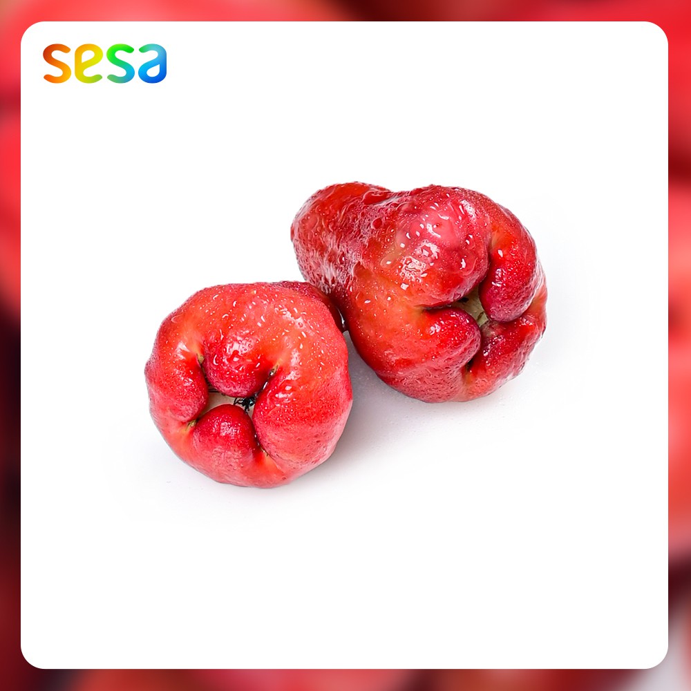 

Jambu Air Citra 1 kg