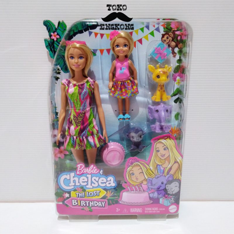 BARBIE AND CHELSEA STORY SET