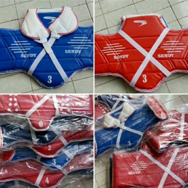 Body Protector Taekwondo