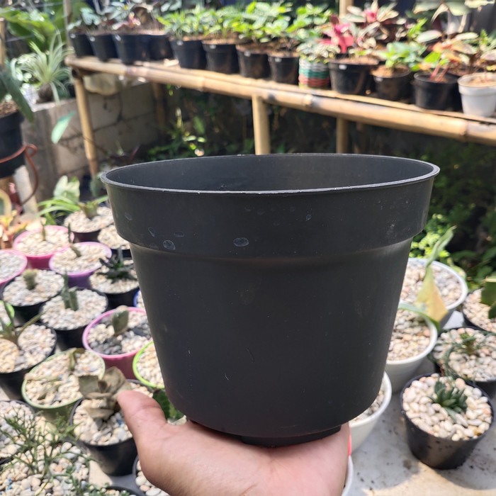 pot 20 cm