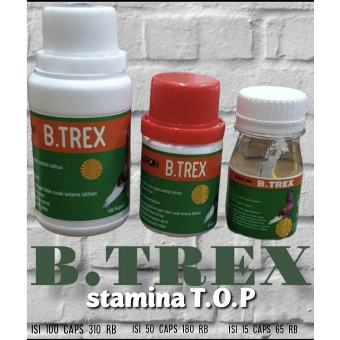 Rahasia Merpati Juara  B.TREX Merupakan Produk BARON Yang Terbukti Mendongkrak Stamina Merpati | Jam
