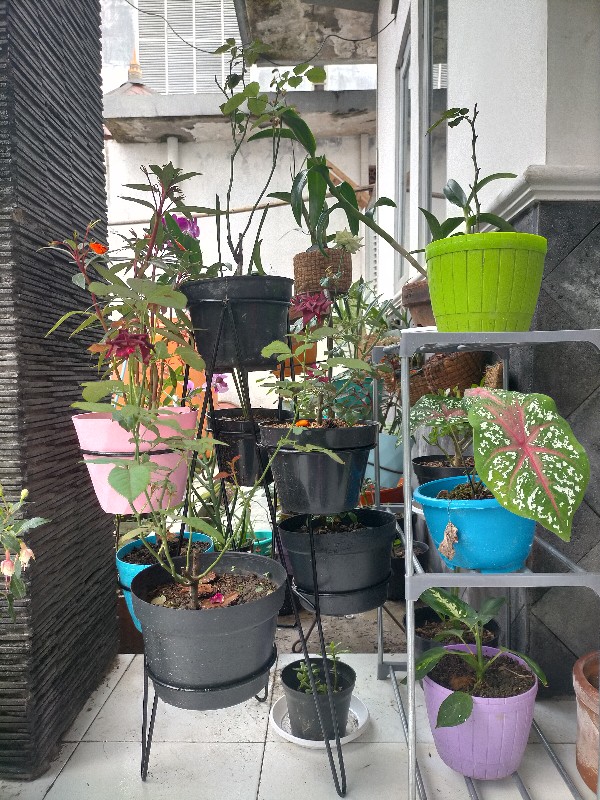 Standing Pot 7 In 1 #rak Bunga #stand Pot #pot Bunga