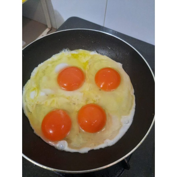 Telur Omega 3 kualitas Premium Grade A langsung dari peternak barang selalu fresh kuning telor orange garani omega #garansi usng balik