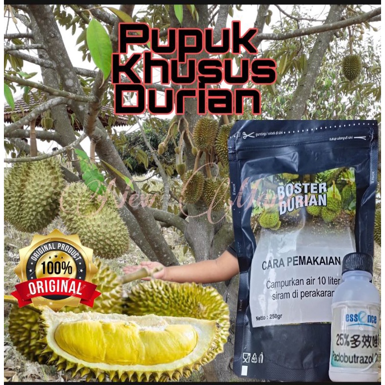 Pupuk Mempercepat durian Berbunga / berbuah  KHUSUS UNTUK DURIAN 