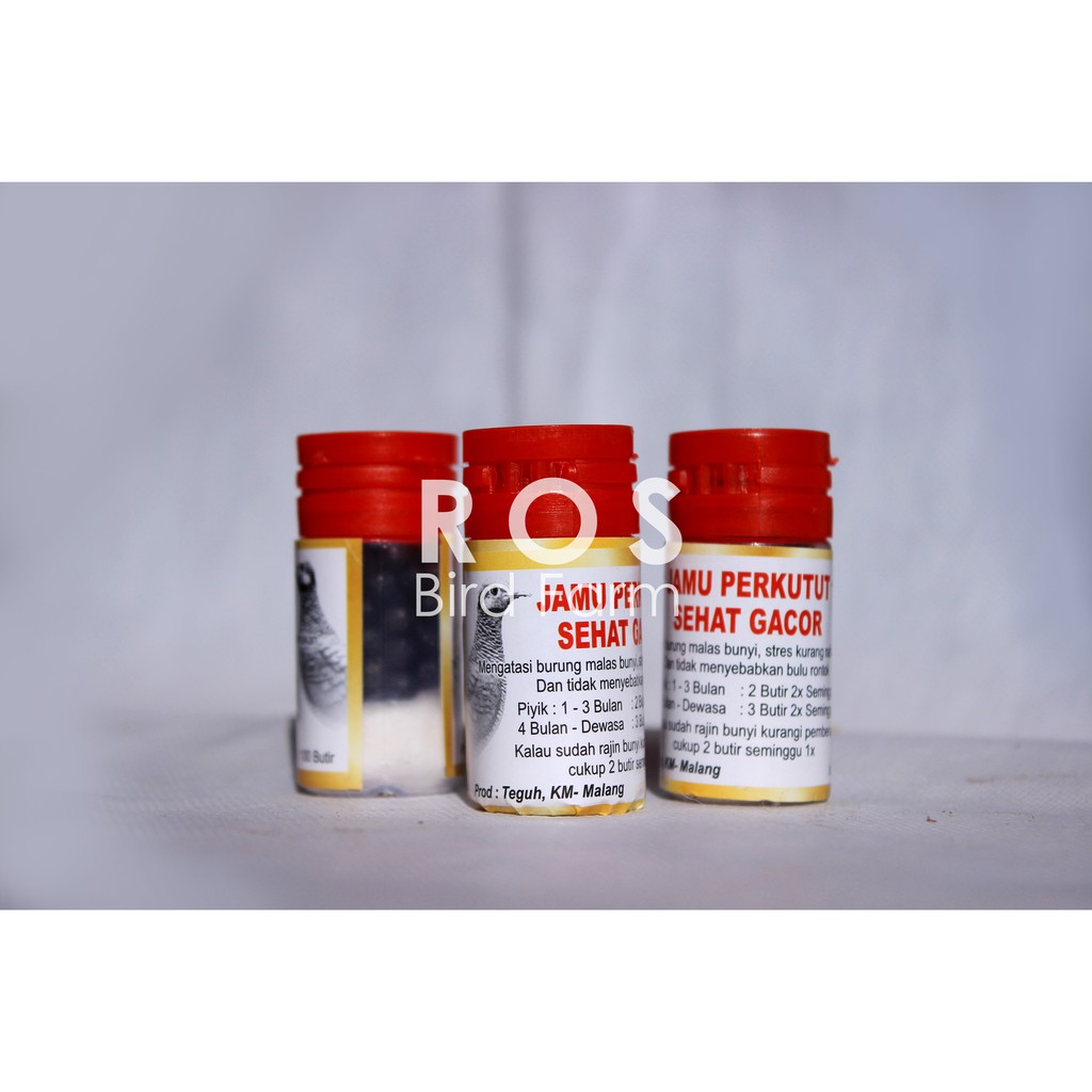 Jamu Perkutut Sehat Gacor Mengatasi Burung Malas Bunyi Stress