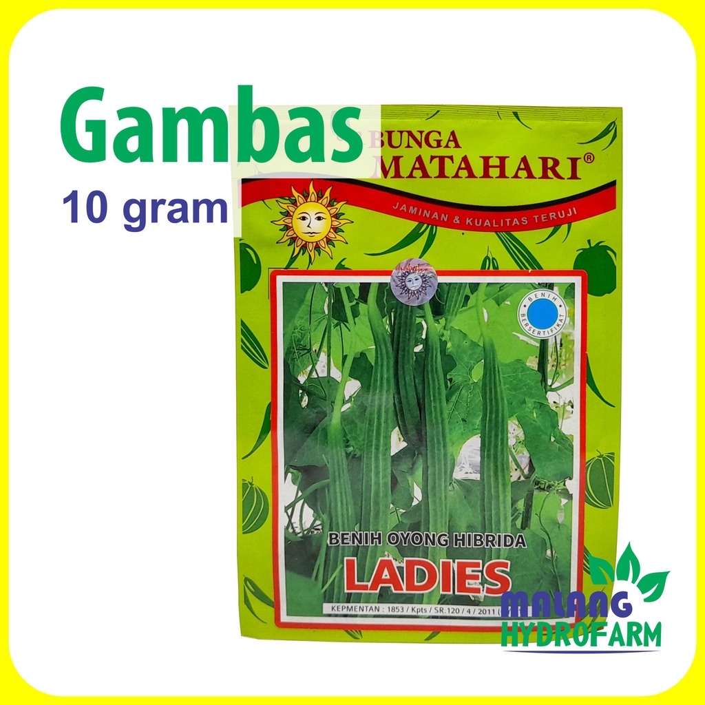 Benih Gambas Ladies 10 gram oyong Cap Bunga Matahari unggul bibit hydroponik hidroponik biji sayur
