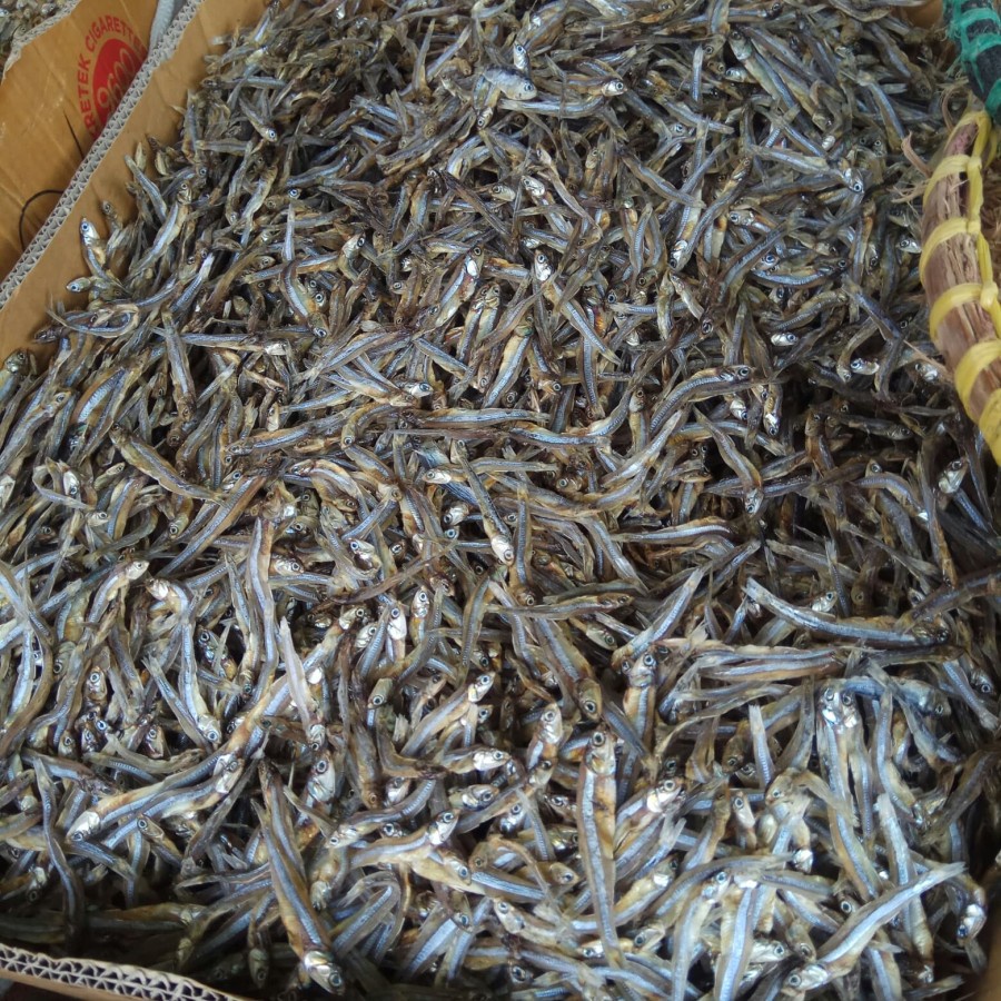 

Ikan Teri Aceh Grade A 100gr